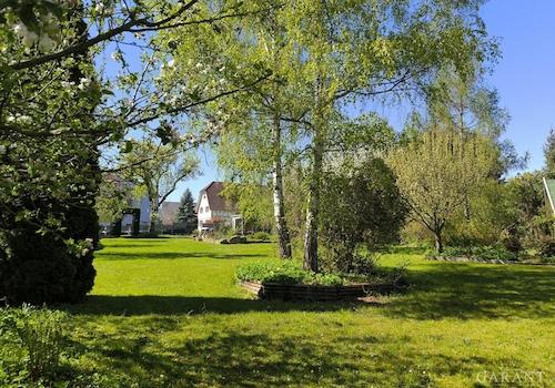 Gartenimpression 4