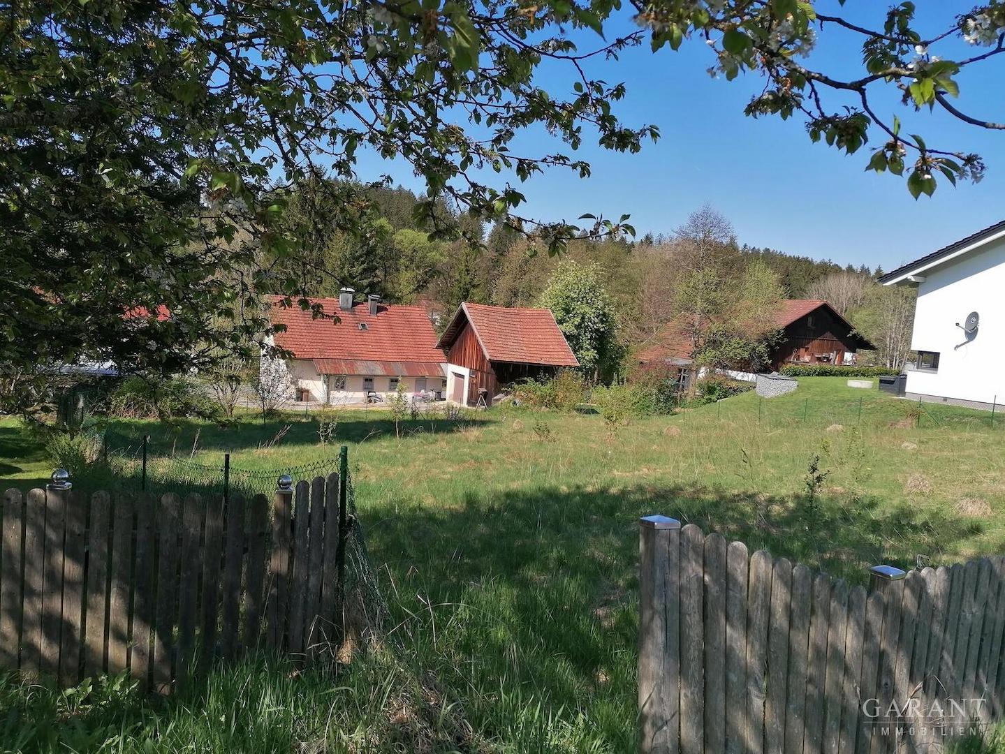 IMG 20250502 101918