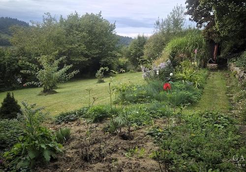 Garten2