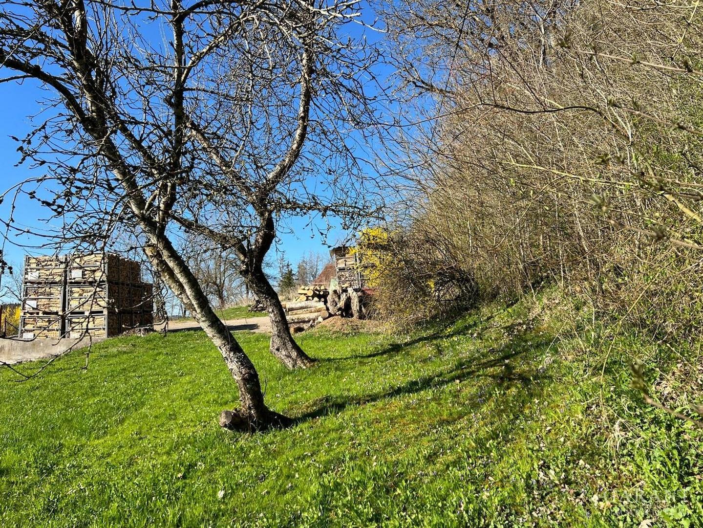 Grundstück