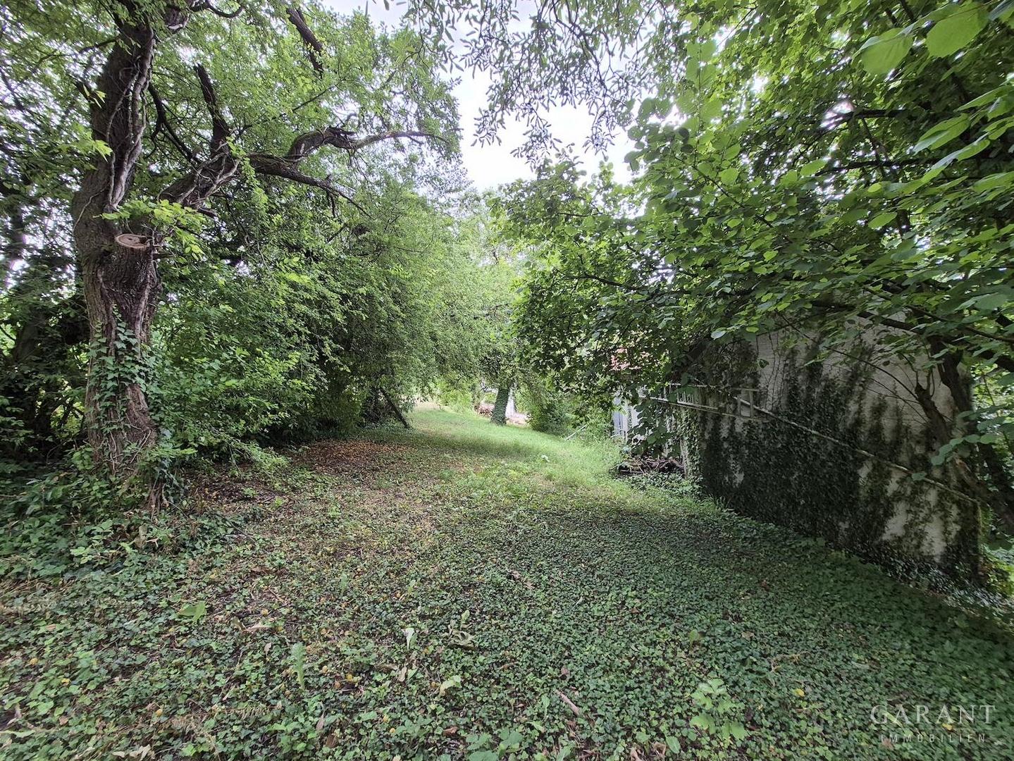 Garten von oben