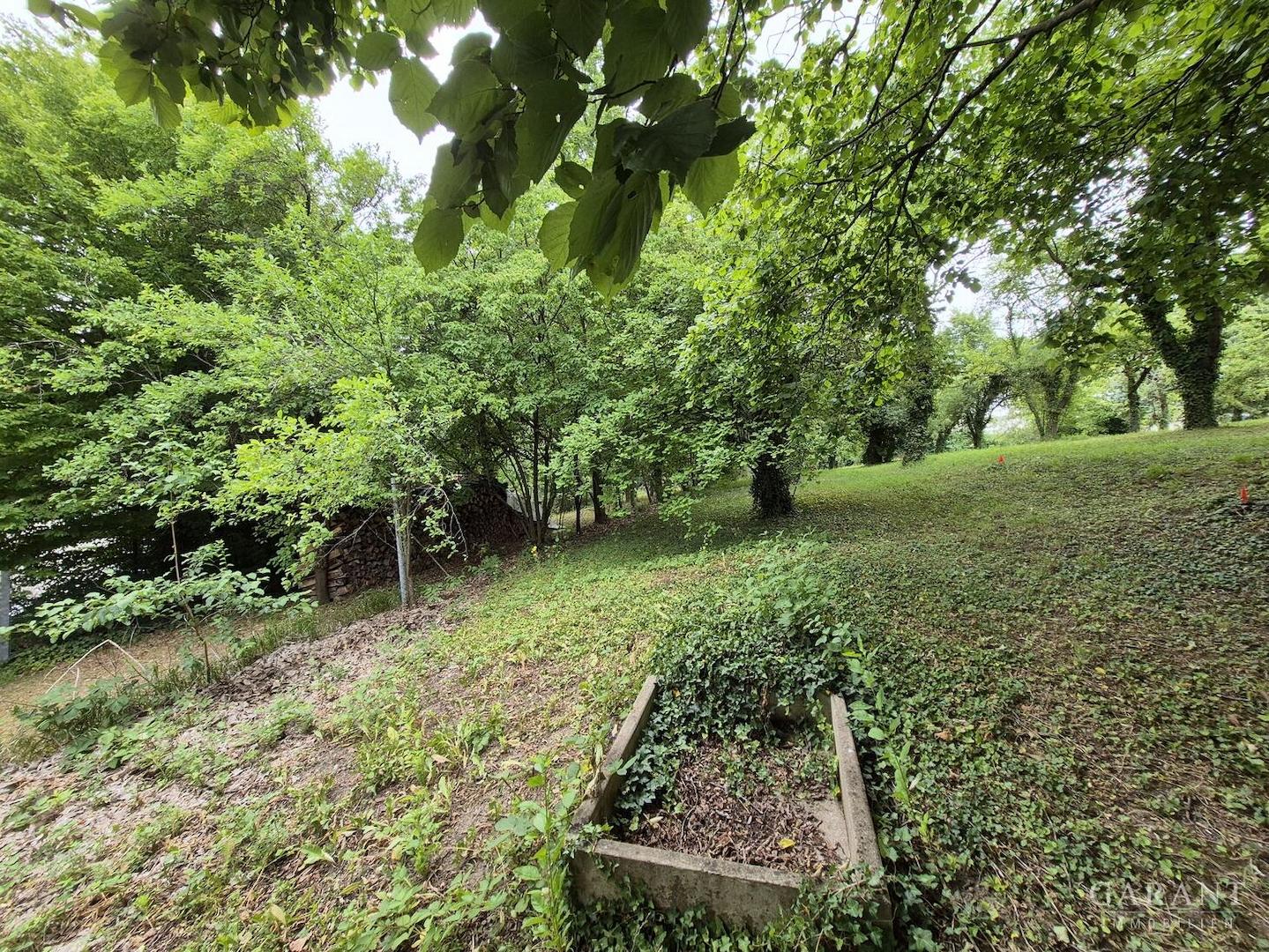 Garten 2