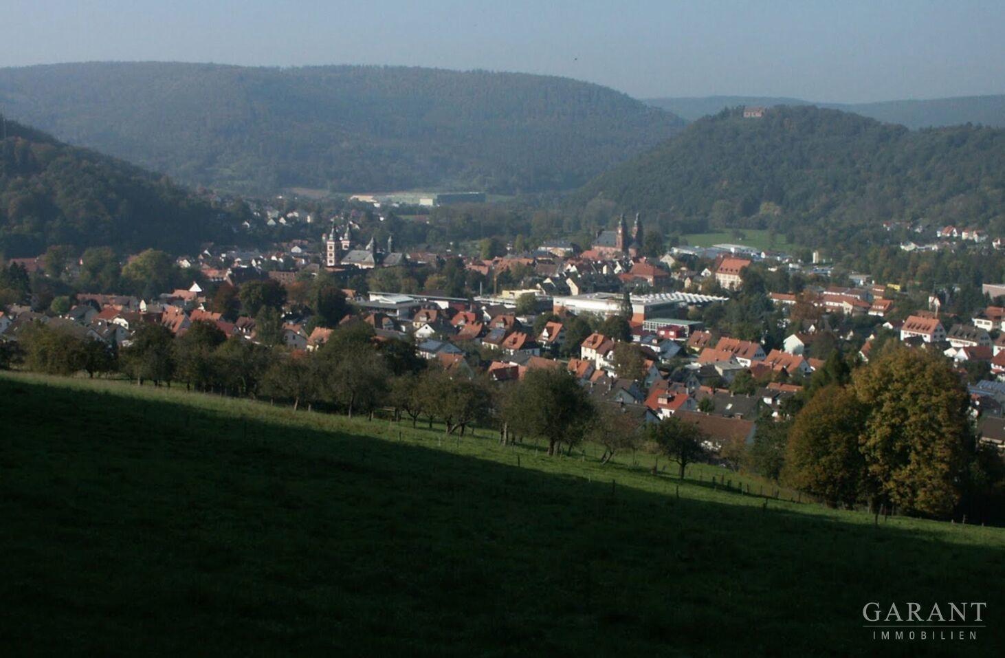 Blick auf Amorbach
