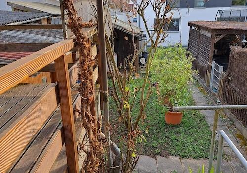 Garten Teilansicht