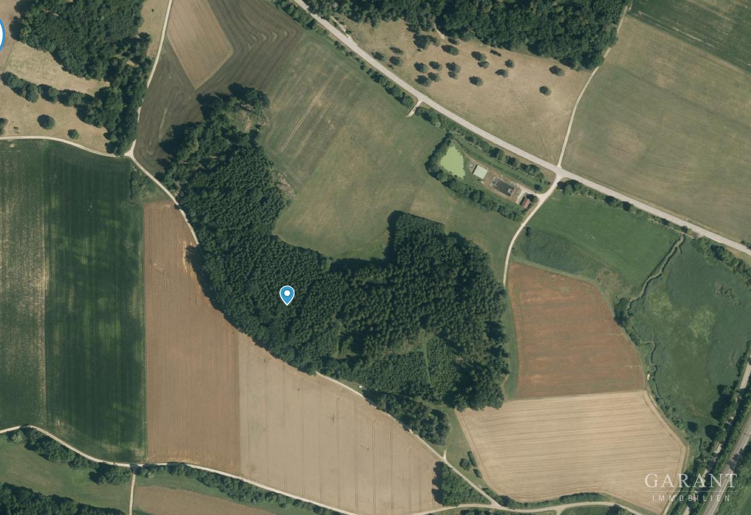 Wald
