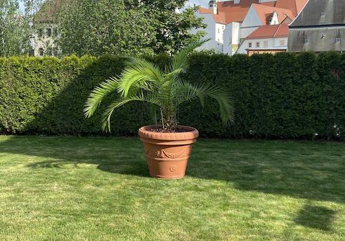 Blick vom Garten