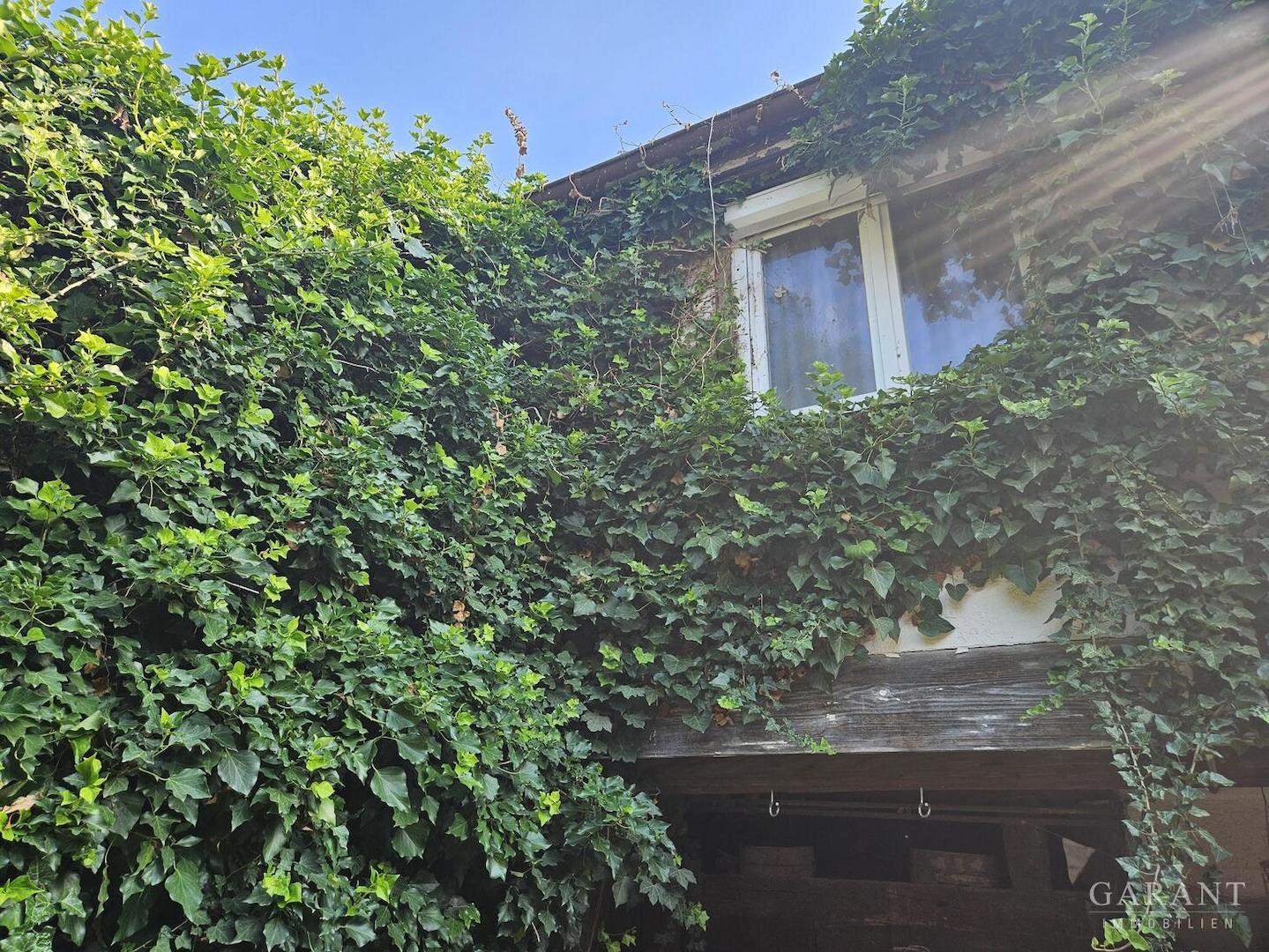 Hausansicht Garten