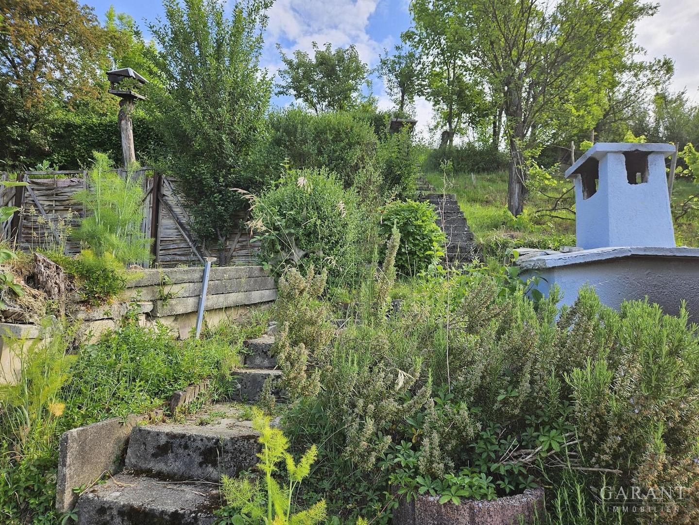 Garten hinterm Haus