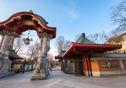 Umgebung - Zoo Berlin