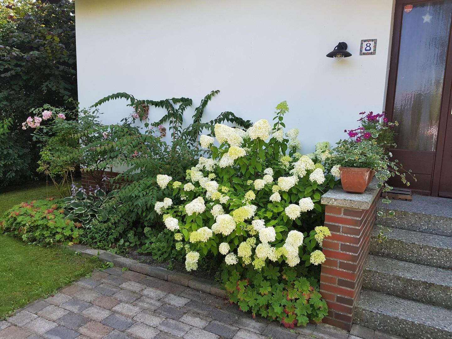 Eingangsbereich