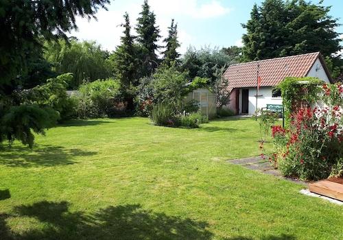 Blick in den Garten