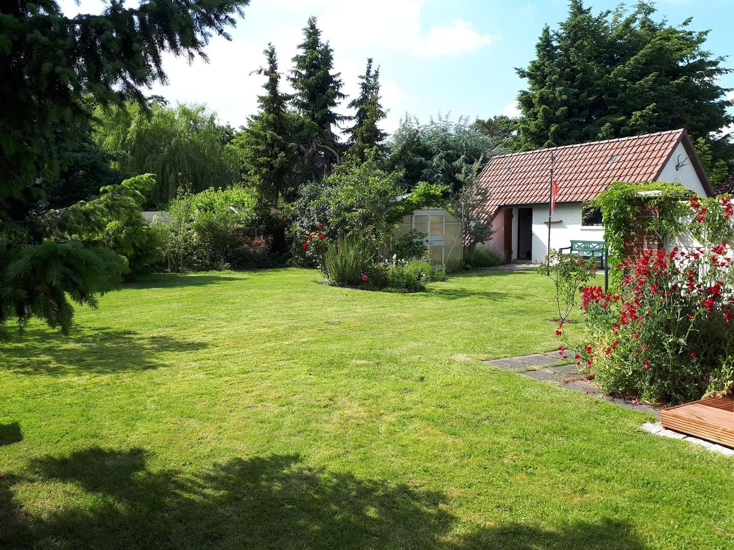 Blick in den Garten
