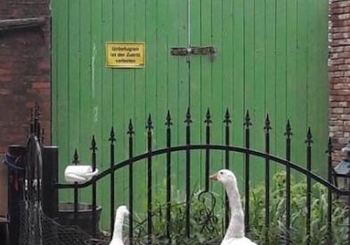 Tor zur Scheune