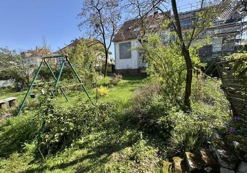 Die Schaukel im Garten