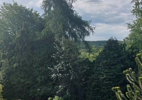 Blick in den Garten