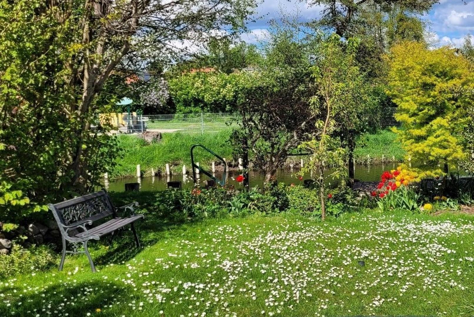 Wiese im Garten