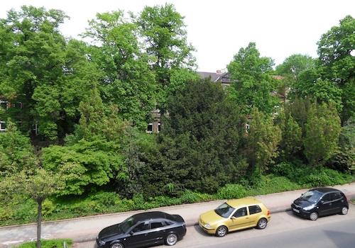 Ausblick Wohnzimmer