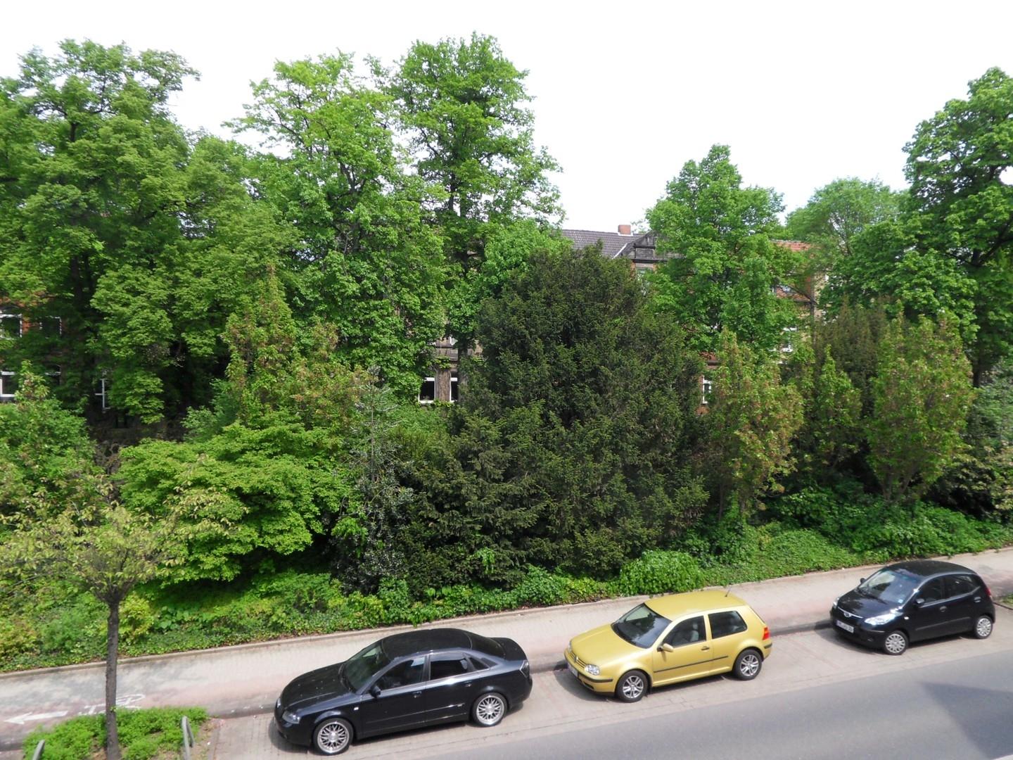 Ausblick Wohnzimmer