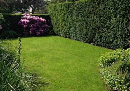 Garten vorne
