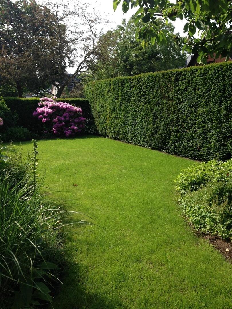 Garten vorne