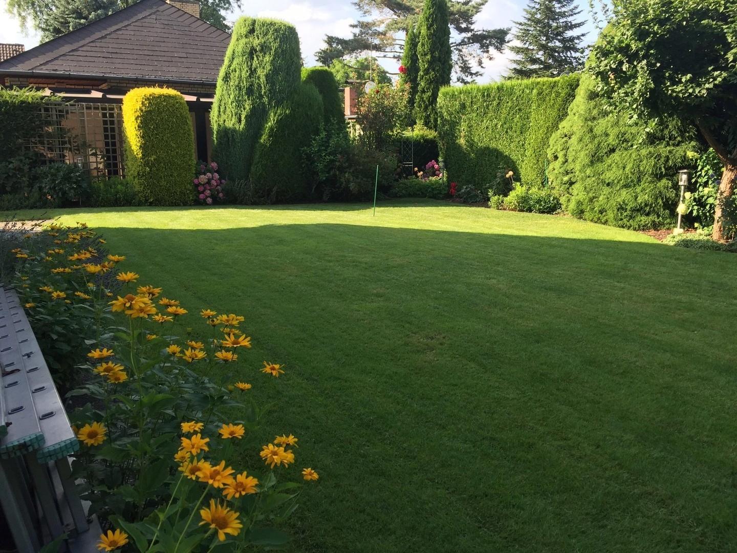 Garten hinten