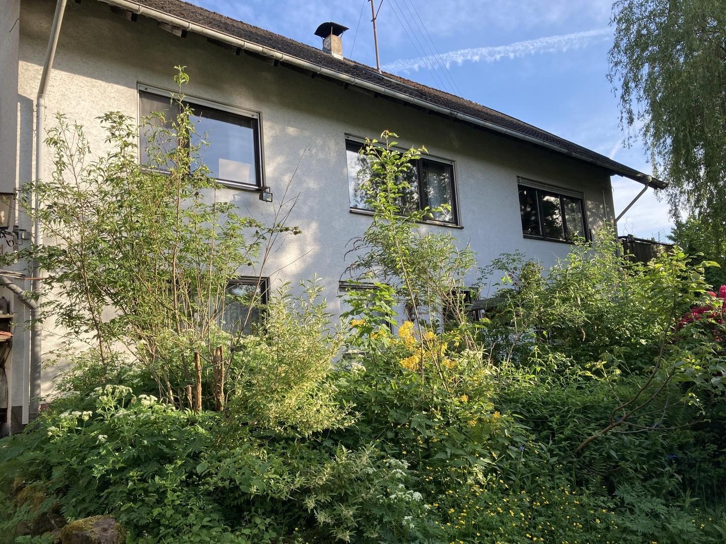 Blick vom Garten 