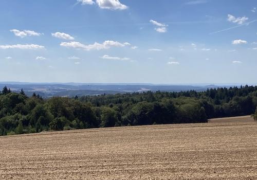 Blick in die Rheinebene 