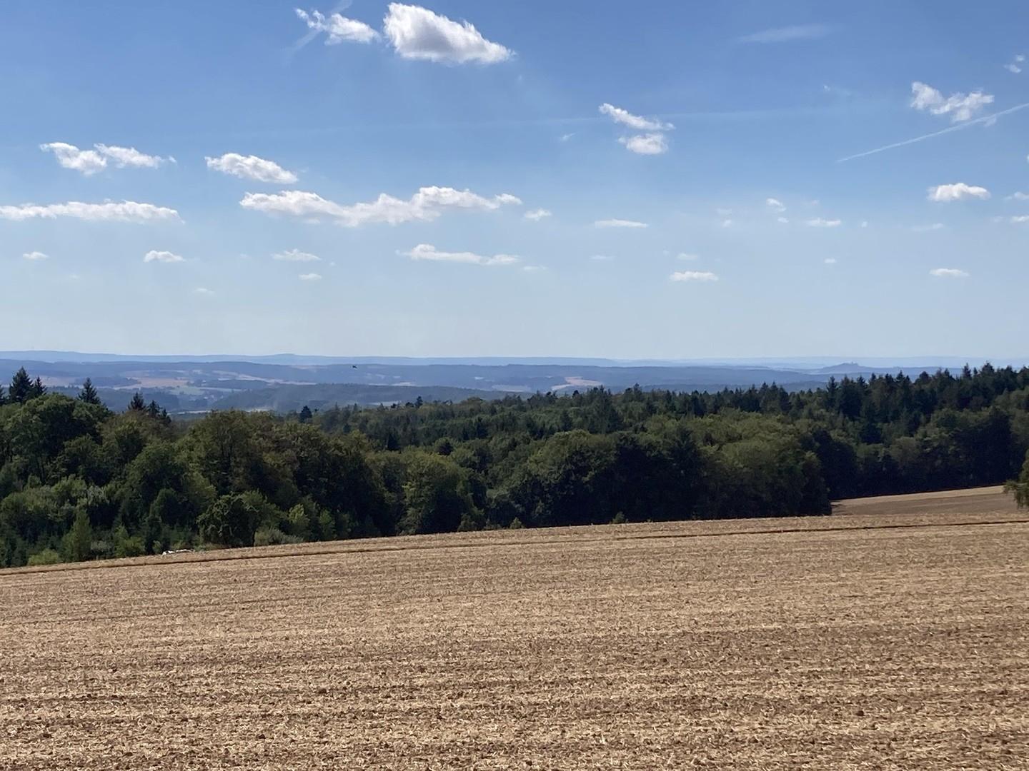 Blick in die Rheinebene 