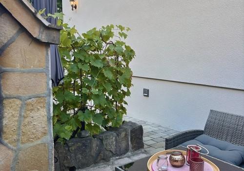 Terrasse Seite