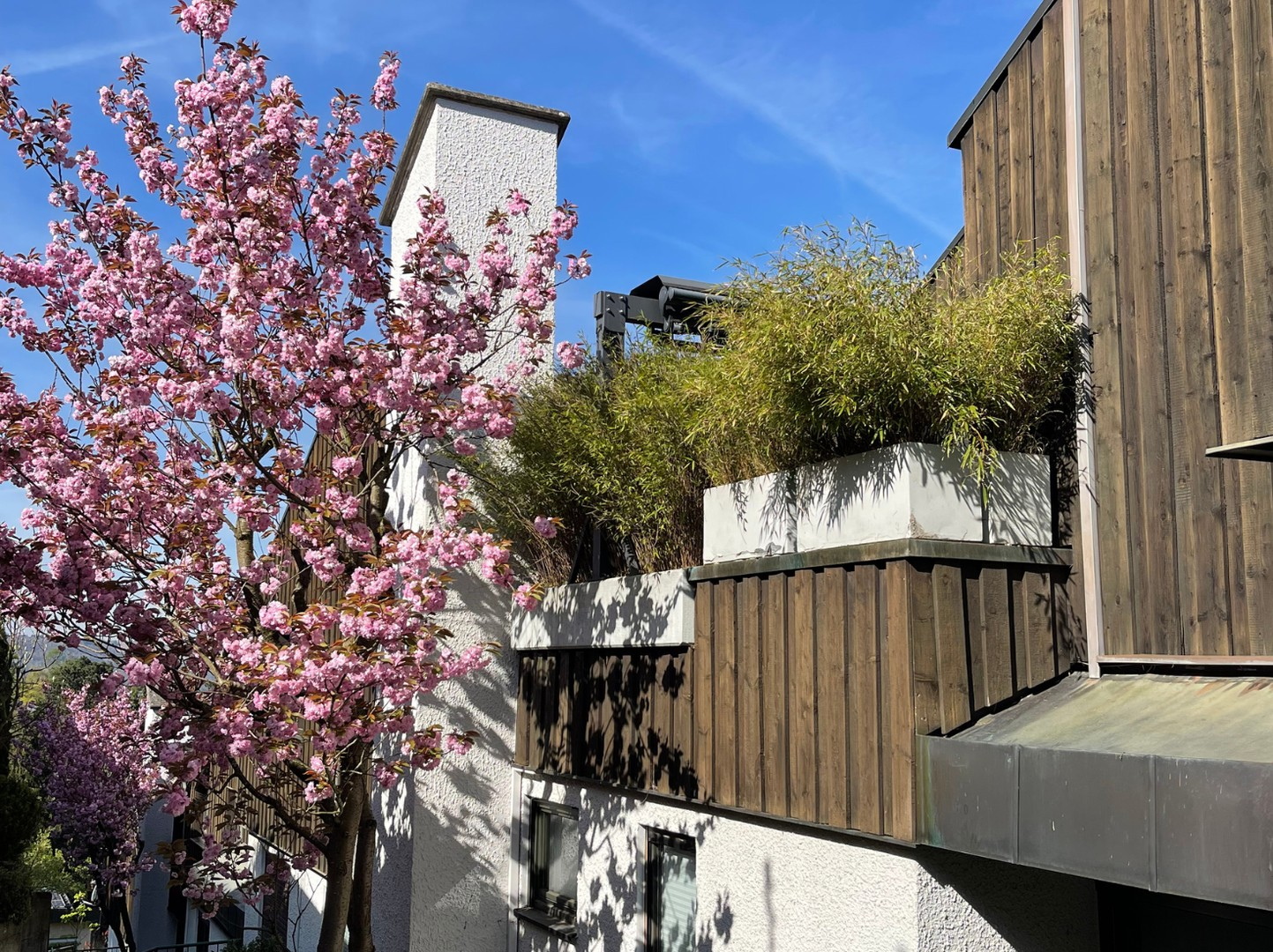 Im Frühjahrs-Zauber