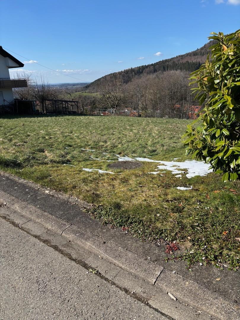 Bild_2