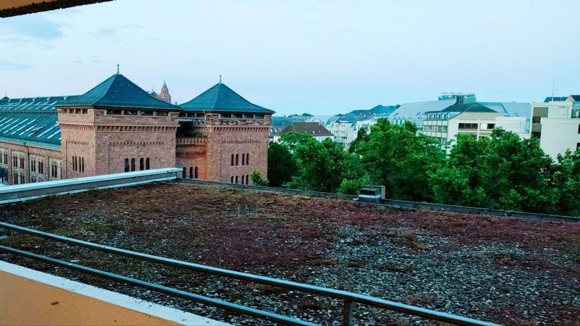 Ausblick auf Proviantamt