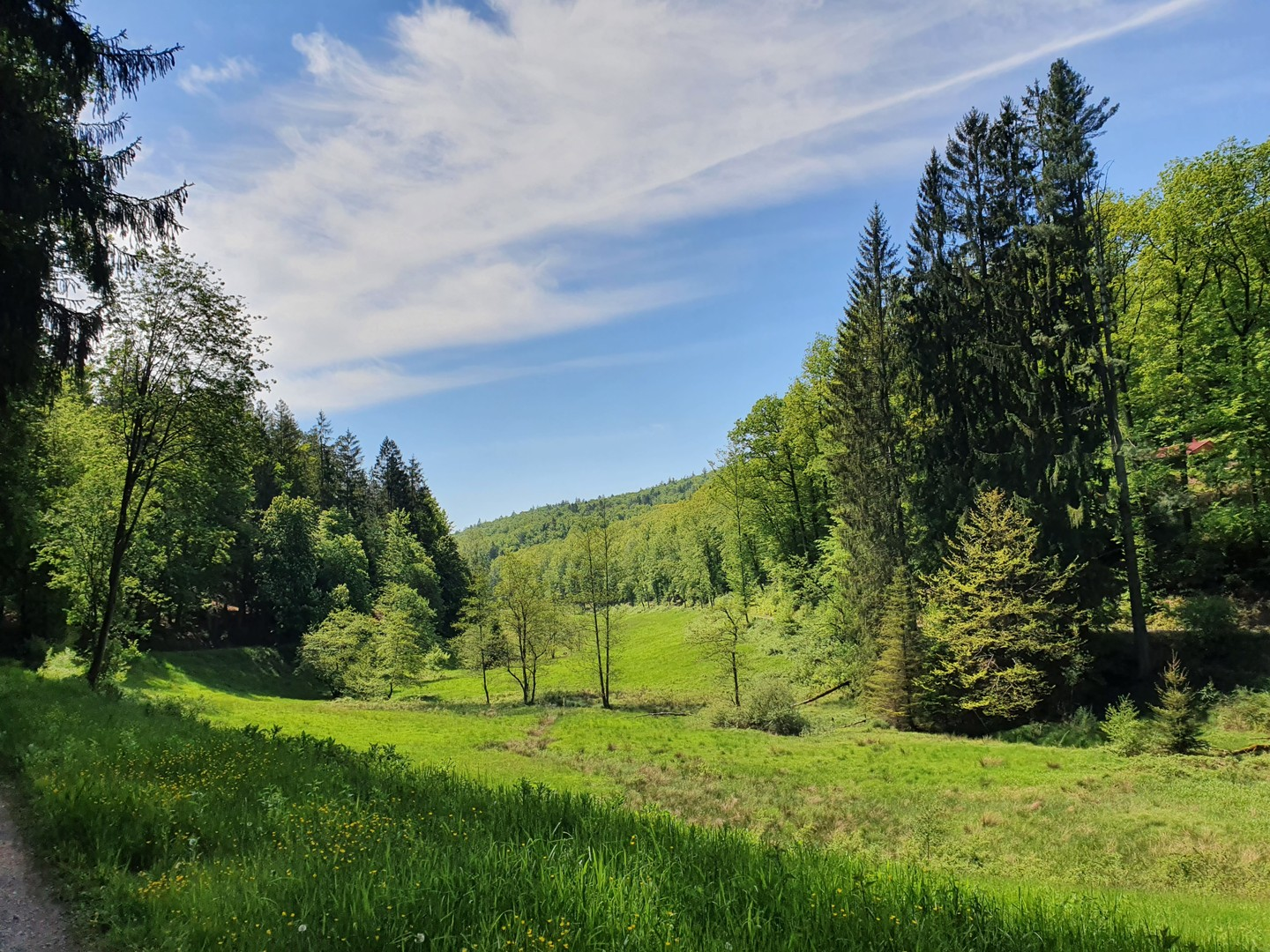 Natur pur!