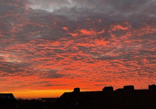 Ausblick