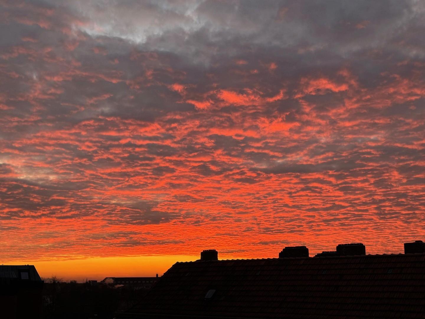 Ausblick