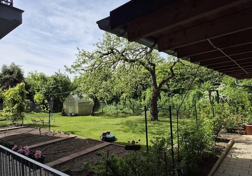 Garten hinten