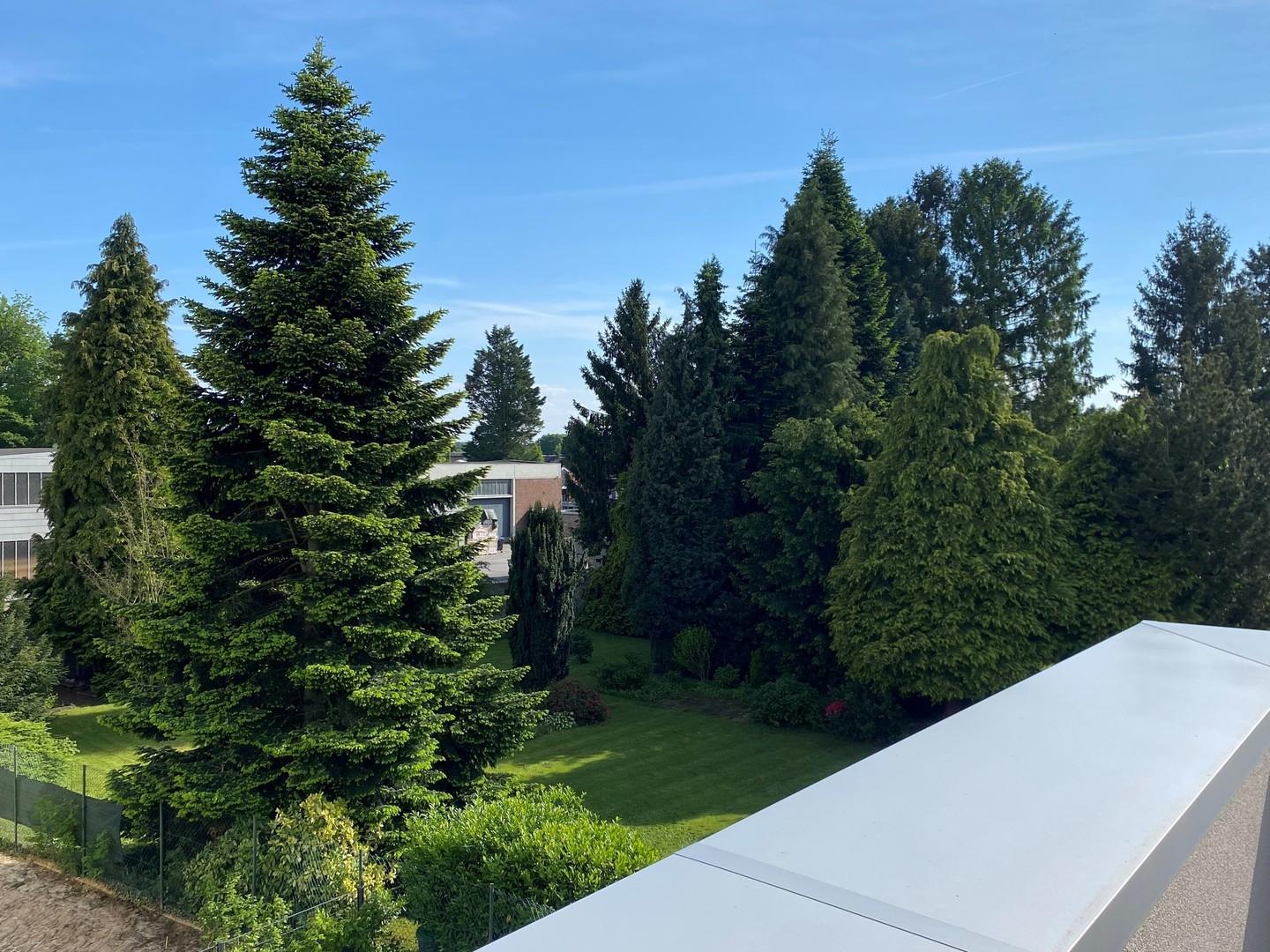 Blick von der Dachterrasse