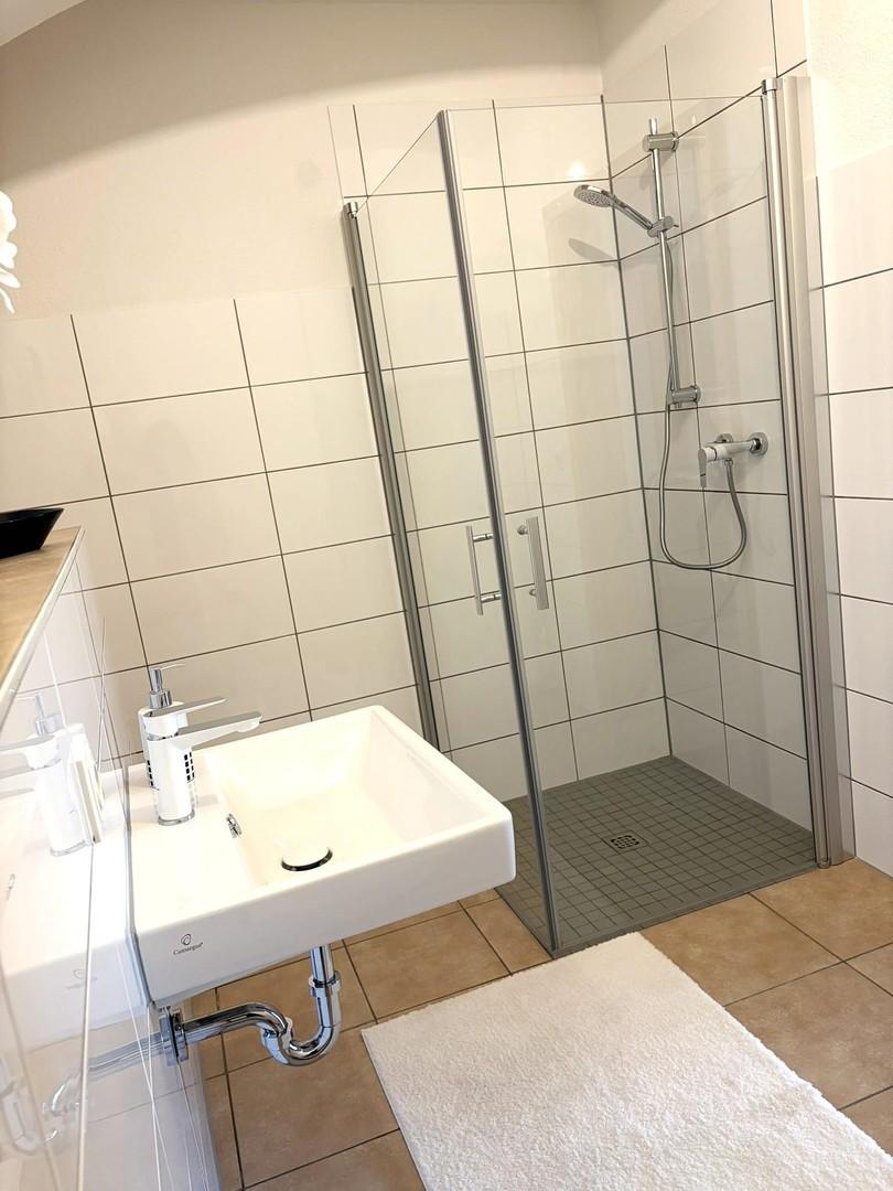 Bad -Dusche schwenkbare Türen
