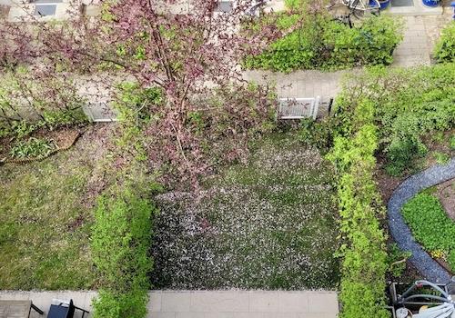 Drittes OG, Ausblick Garten