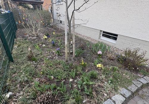 Vorgarten