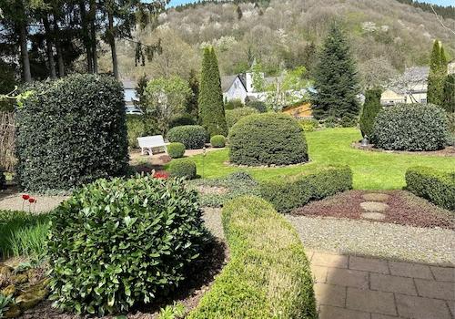 Blick in den Park