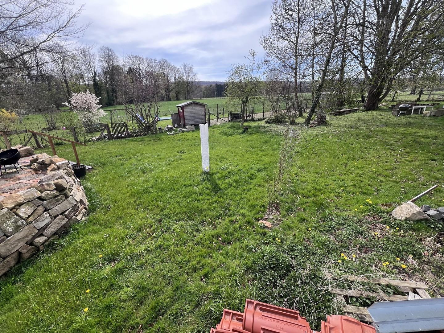 Blick aus dem Garten 
