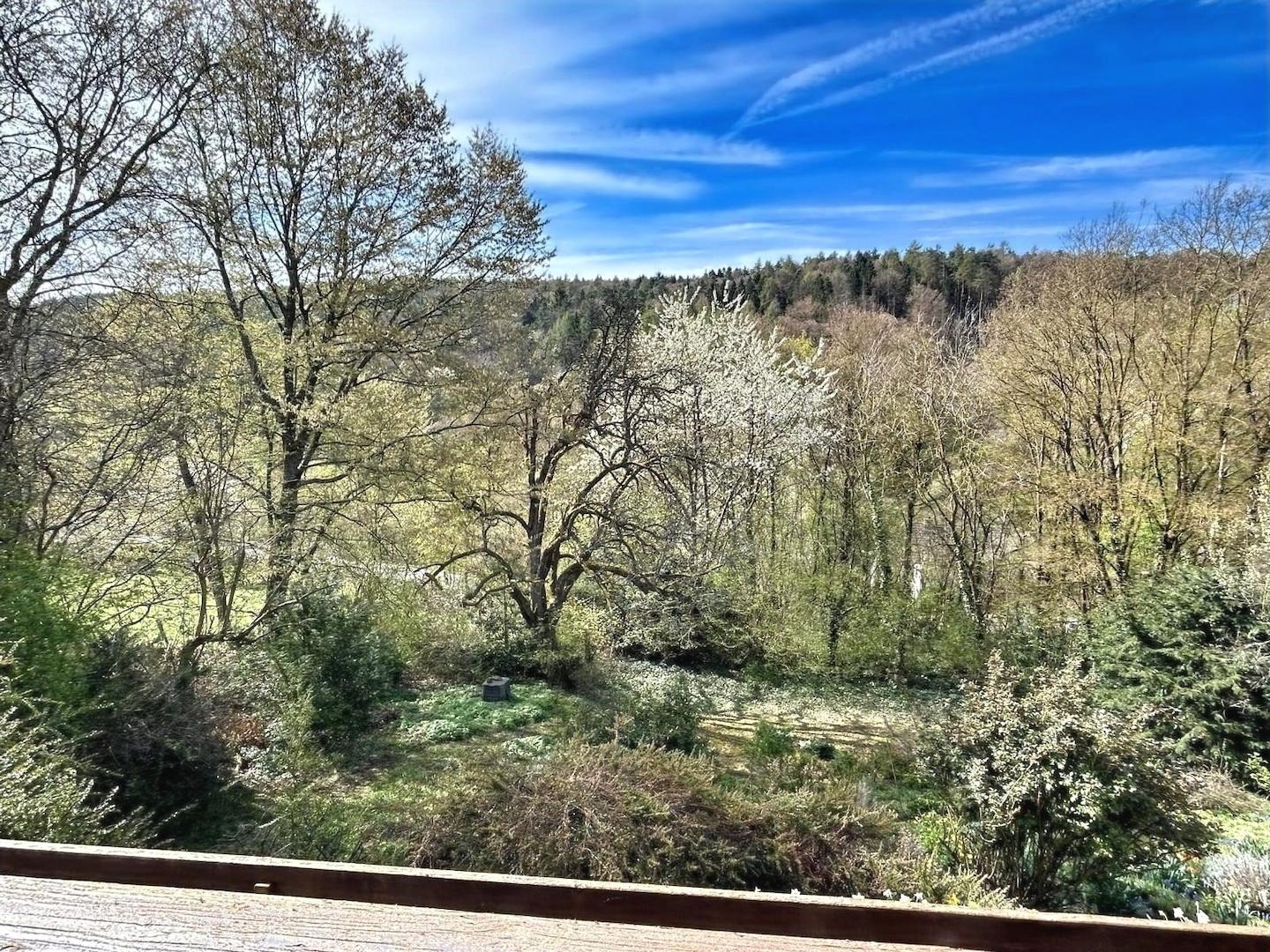 Ausblick vom Balkon