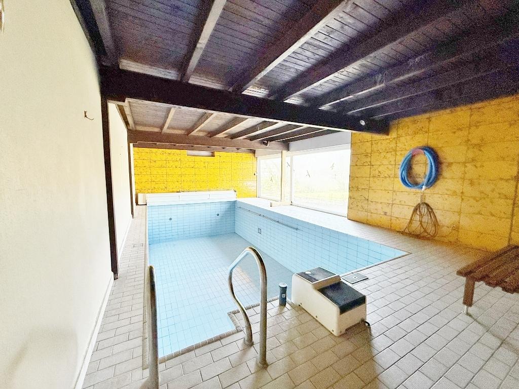 Schwimm...