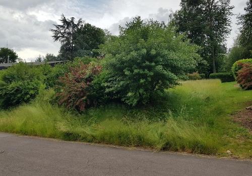Blick aufs Grundstück