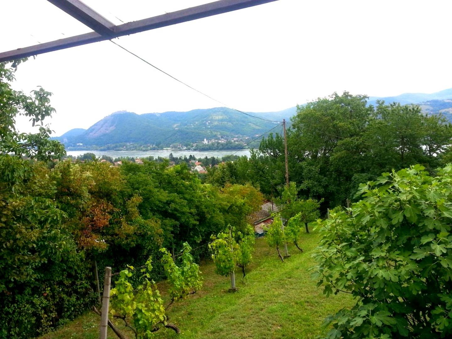 Gemütliche Terrasse mit einzigartigem Blick