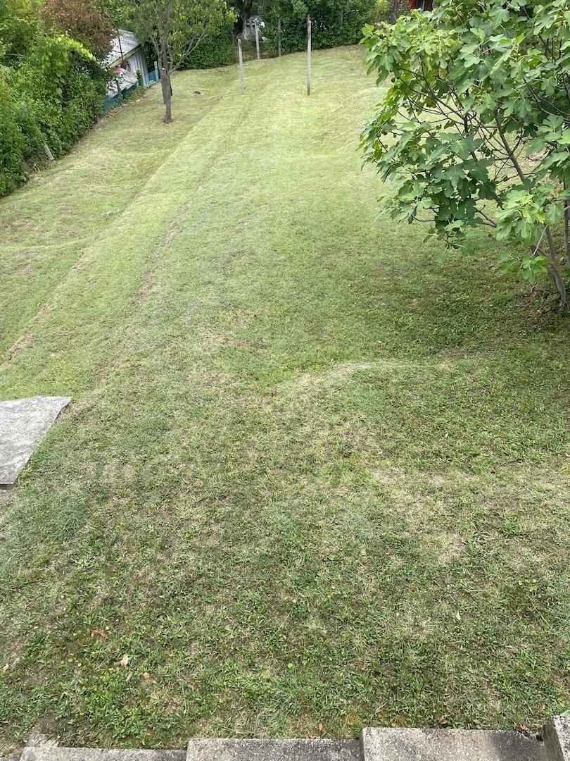Schöne Lage am Berg im Grünen