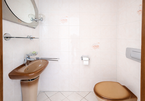 Das Gäste-WC