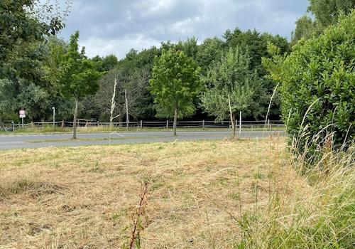 Hinter dem Haus
