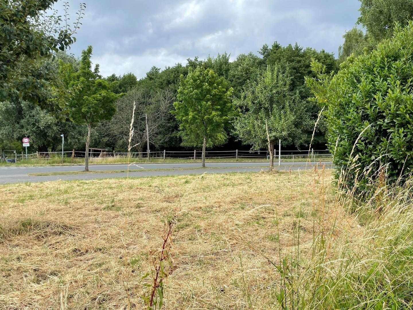 Hinter dem Haus